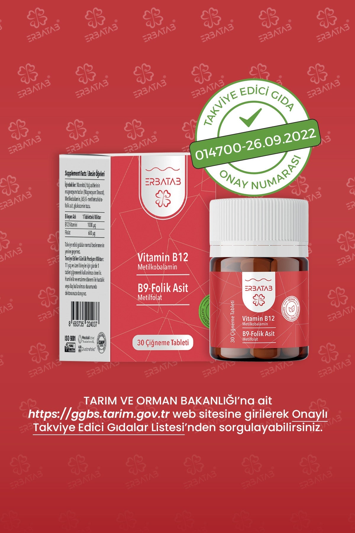 Erbatab Vitamin B12- Folik Asit B9 Tablet Metilkobalamin-Metilfolat